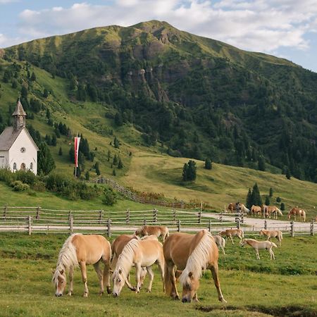 Zallinger Dolomites Alpe Di Siusi Buitenkant foto