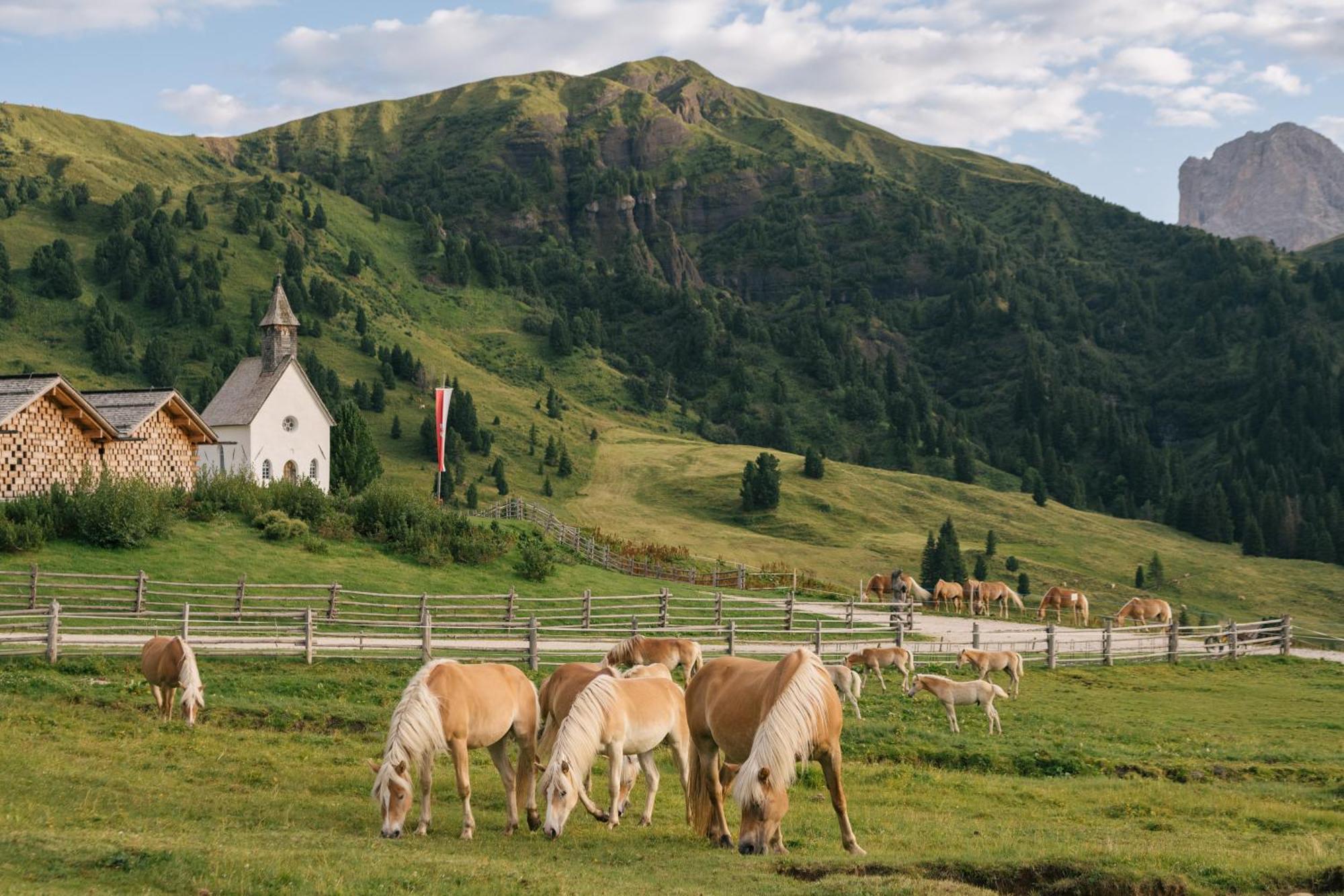 Zallinger Dolomites Alpe Di Siusi Buitenkant foto